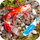 برنامه 3D Fish Tank Live Wallpaper