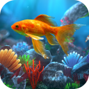 برنامه Ocean Live Wallpaper HD Theme