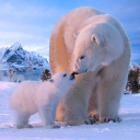 بازی The Bear