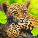 بازی The Leopard