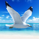 بازی The Seagull