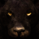 بازی Ultimate Panther Simulator