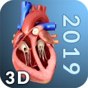 برنامه Heart Anatomy Pro.