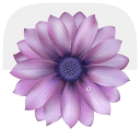 برنامه ‏پرورش گلها و حیوانات