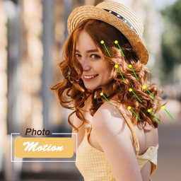 Photo Motion - Animator
