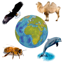 برنامه Sounds of Fauna + ringtones