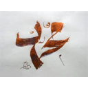 ۳۲۲۷ حدیث از پیامبر + زندگی نامه