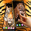 برنامه Tiger live wallpaper