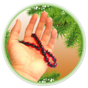 صحیفه سجادیه
