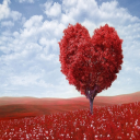 پیامک ناب عاشقانه
