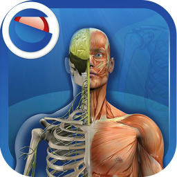 The Human Body