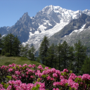برنامه Relax Mountain: sleep sounds