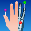 برنامه IMAIOS e-Anatomy