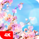 برنامه Spring Wallpapers 4K