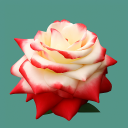 برنامه Flower Wallpaper-7