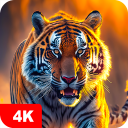 برنامه Tiger Wallpapers 4K