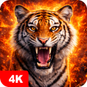 برنامه Tiger Wallpapers 4K