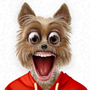 برنامه Talking Animals