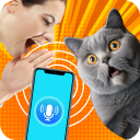 مترجم انسان به گربه