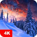 برنامه Winter Wallpapers 4K