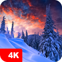 برنامه Winter wallpapers 4K