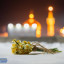 عکس کاربر - الهه