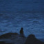 عکس کاربر - Ocean 🌊