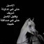 عکس کاربر - علي