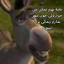 عکس کاربر - 21721840196