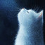 عکس کاربر - Ice cat