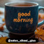 عکس کاربر - ejdg