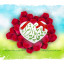عکس کاربر - محمد کیان رضایی