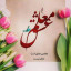 عکس کاربر - Amir