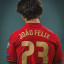 عکس کاربر - Joao felix