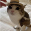 عکس کاربر - 🌳🐱meowl🦉🌿