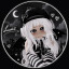 عکس کاربر - ˚｡⋆୨୧˚Lumi🖤chan˚୨୧⋆｡˚