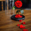 عکس کاربر -  ملیحه قدیمی