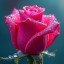 عکس کاربر - عالی