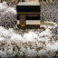 عکس کاربر - kazem