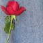 عکس کاربر - پرستش غیبی حاجیور