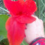 عکس کاربر - taha
