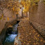 عکس کاربر - هستی ارمان