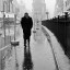 عکس کاربر - Shayan Kakoei
