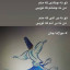 عکس کاربر - دکتر یارا...