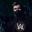 عکس کاربر - DJ ALAN WALKER 