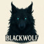 عکس کاربر - black wolf