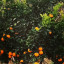 عکس کاربر - ارش
