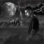 عکس کاربر - ben yamin