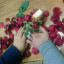 عکس کاربر - SamanRezaeinia 