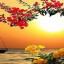 عکس کاربر - mobin